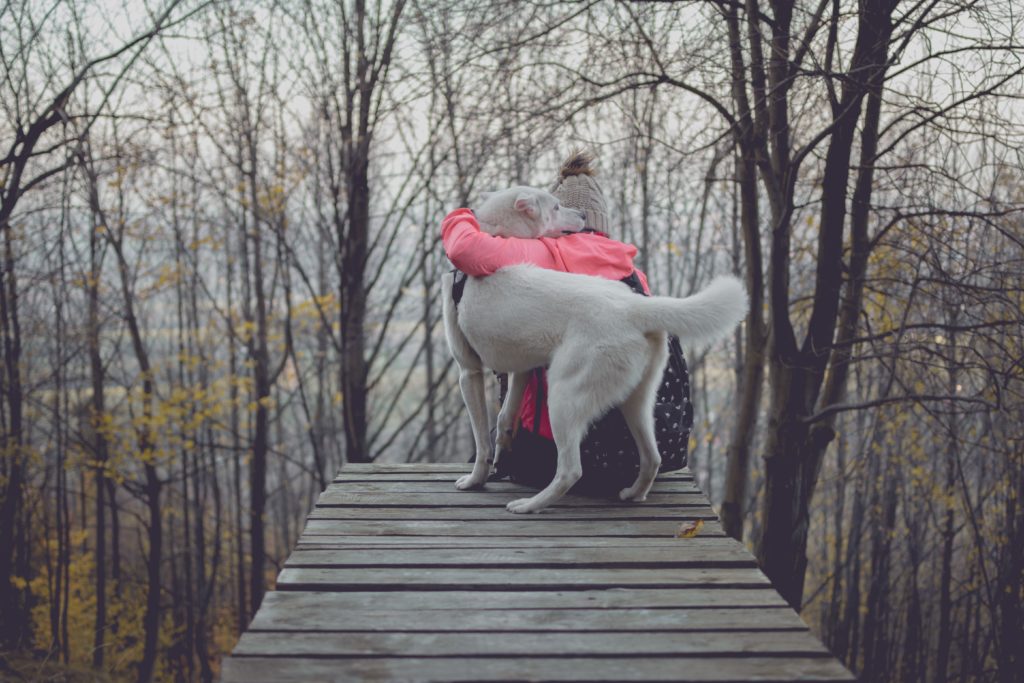 Woman cuddling large white dog on dock in the woods