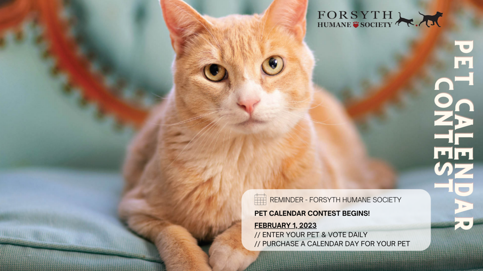 Pet Calendar Contest Forsyth Humane Society