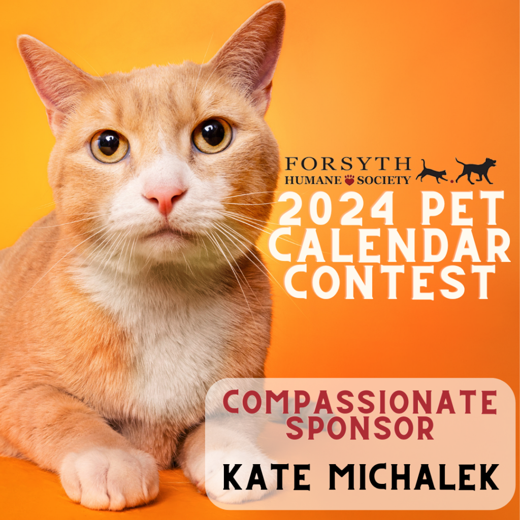 pet-calendar-contest-forsyth-humane-society