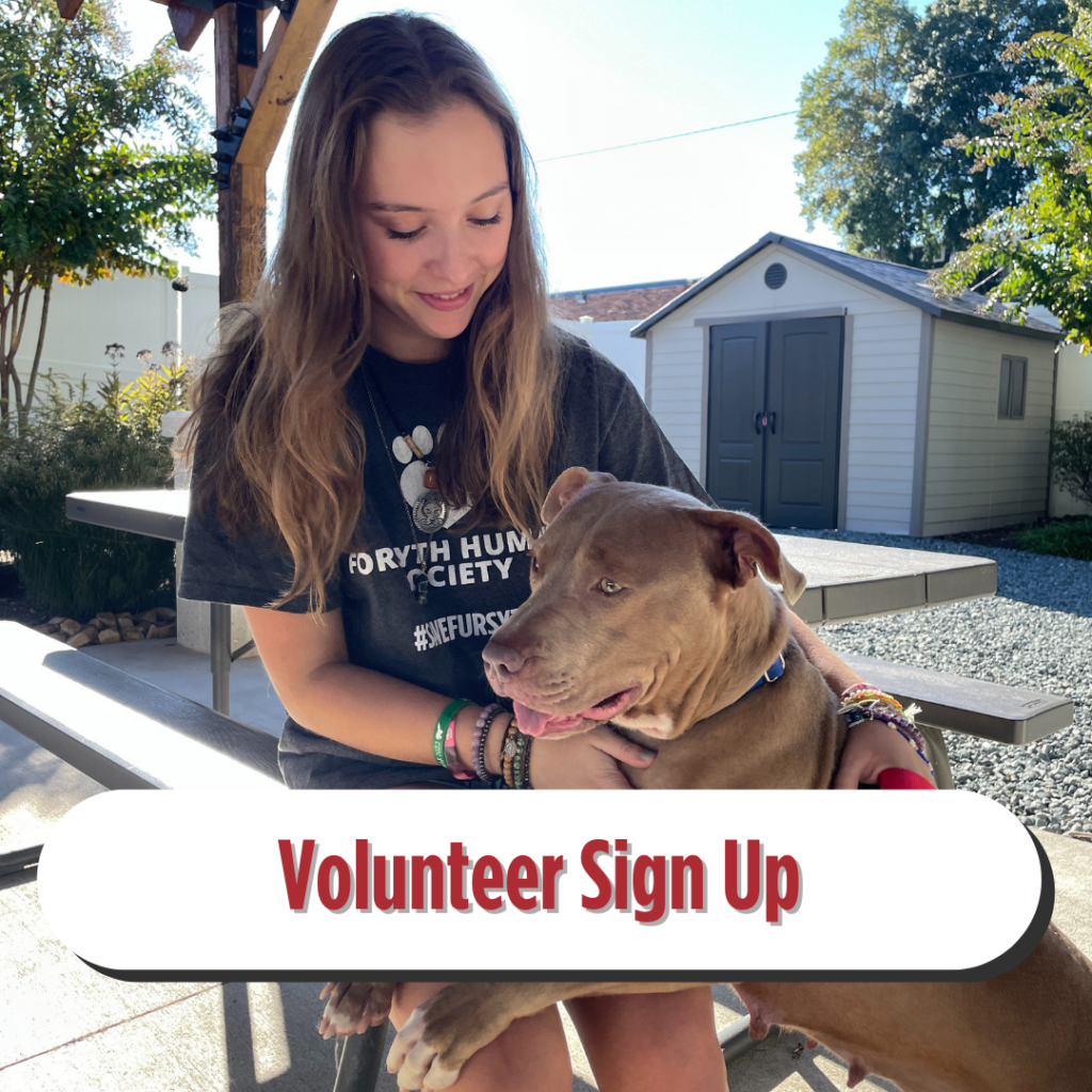 volunteer sign up button