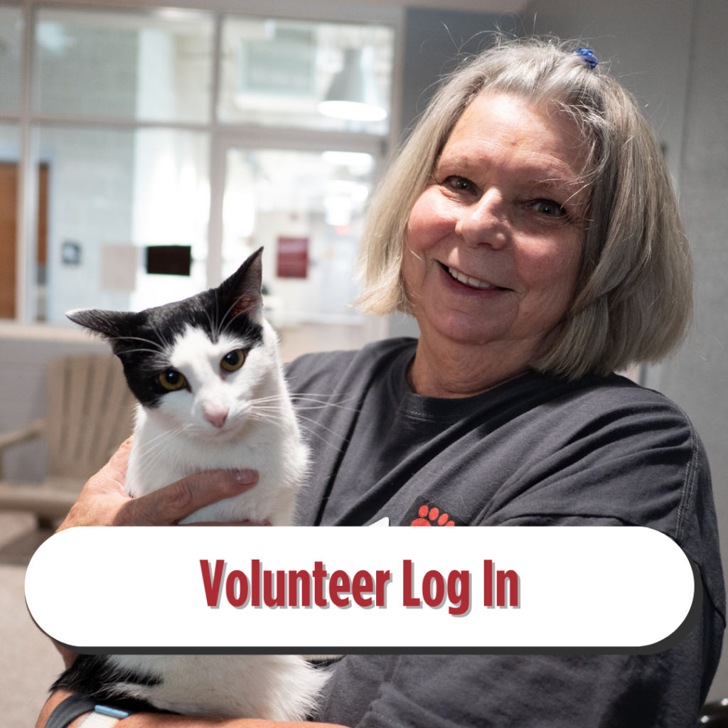 volunteer login button