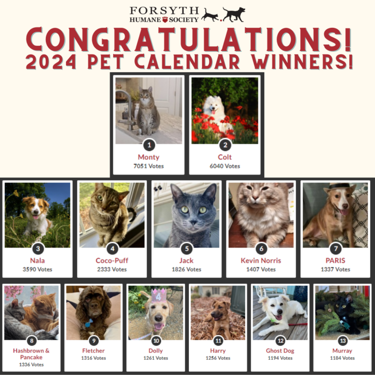 Pet Calendar Contest Forsyth Humane Society