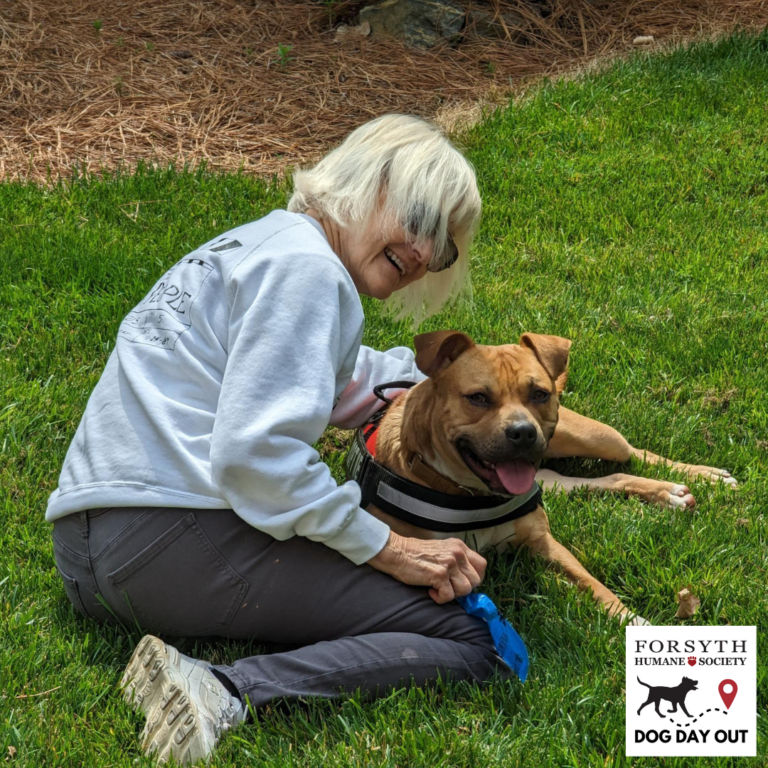 Dog Day Out - Forsyth Humane Society