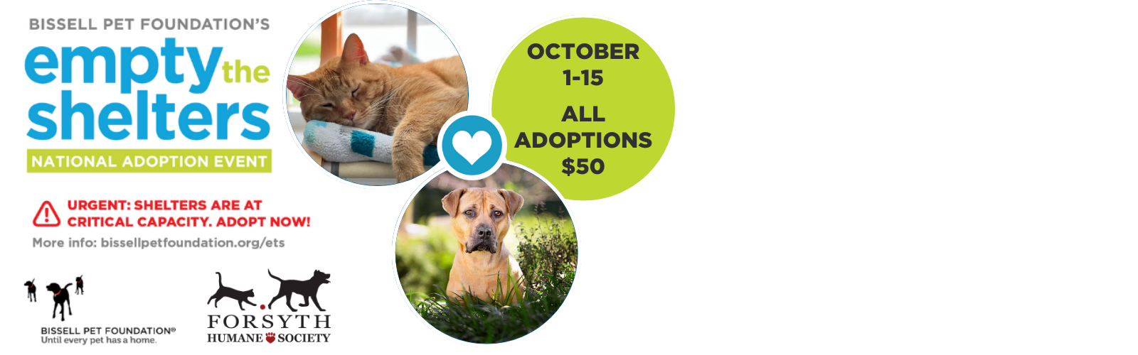 Empty the Shelters