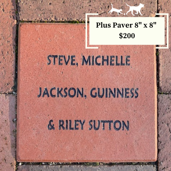 8" x 8" commemorative brick paver dedicated to oakes animal hospital