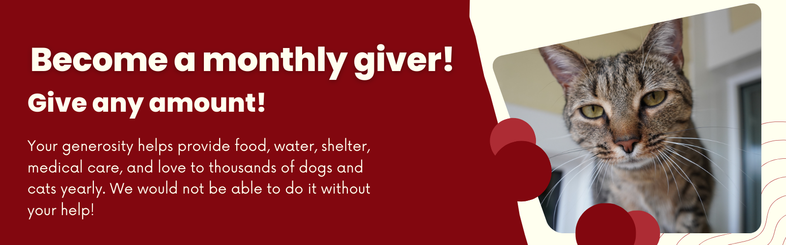 Become a Monthly Giver