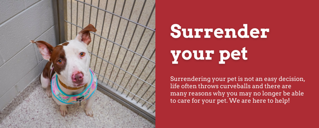 Pet Surrender - Forsyth Humane Society