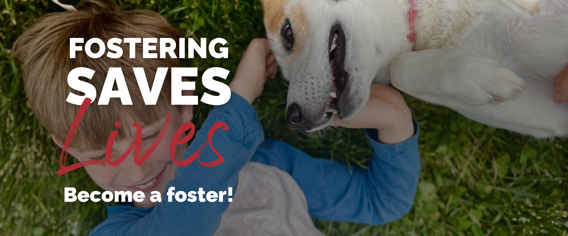 Foster a Pet