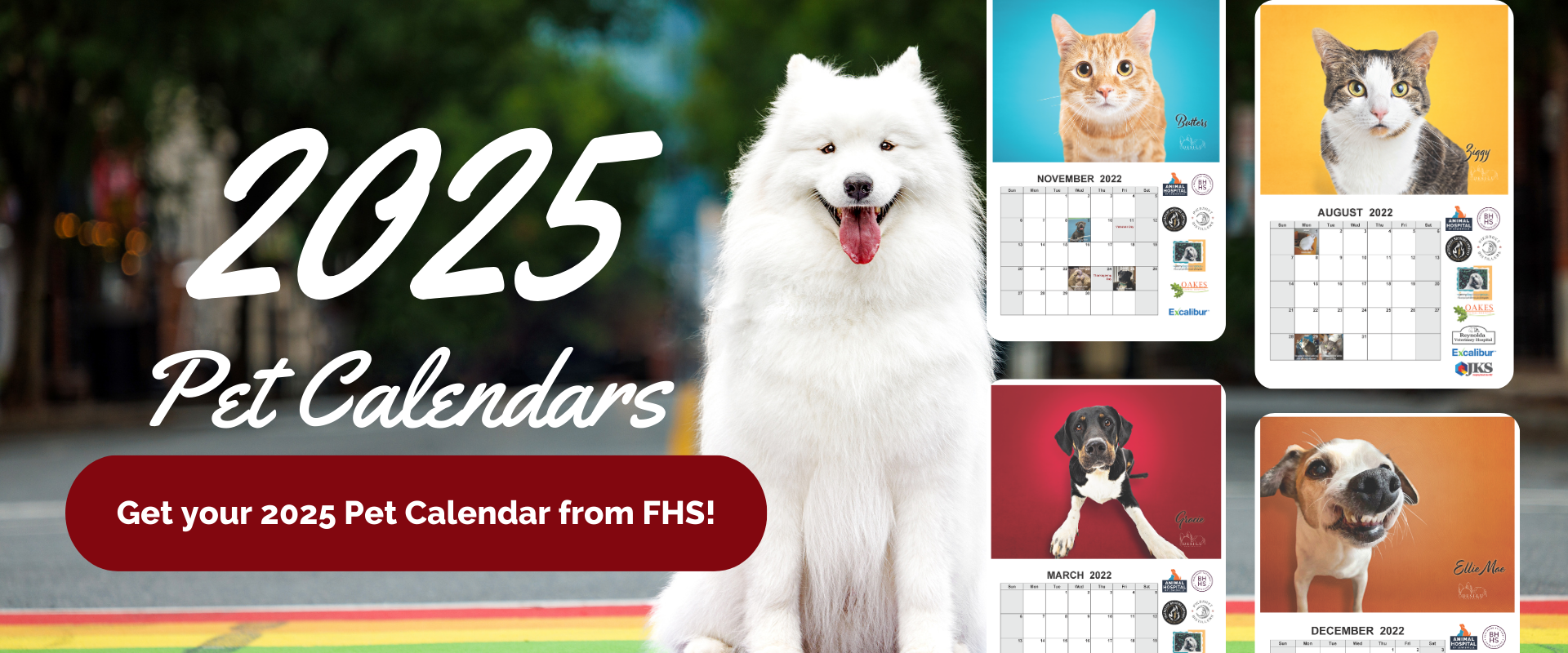 Pet Calendar Contest