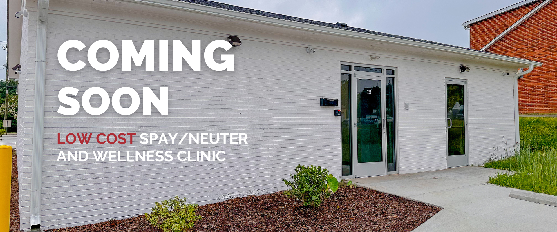 Low-Cost Spay/Neuter Clinic