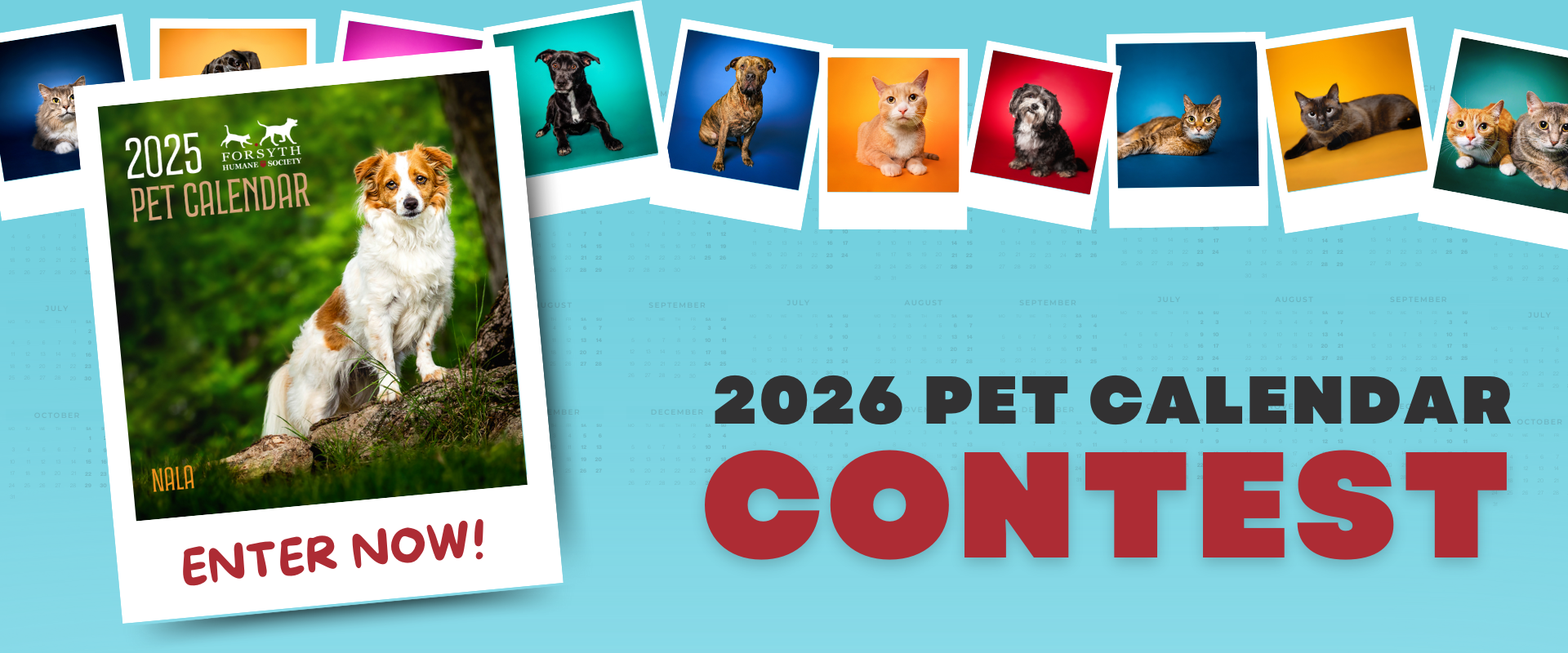 Pet Calendar Contest